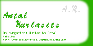 antal murlasits business card